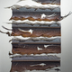 Image for article titled Delicate Images of Birds Painstakingly Clipped from Real Feathers